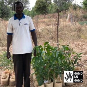 Plantation de 100 arbres